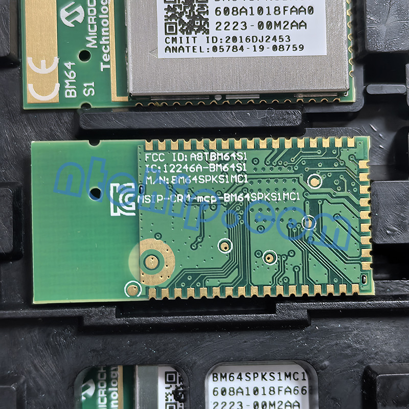 Microchip Technology BM64SPKS1MC1-00M2AA module bottom