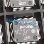 CY9AF141LAPMC1-G-MNE2 Image