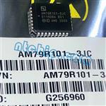 AM79R101-3JC--1.jpg Image