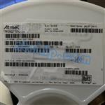 ATMXT336T-MAUR-5513123.jpg Image