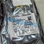 GS3441-INE3-5924544.jpg Image