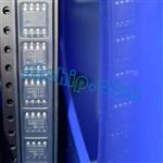 MCP6022T-E-SN-5954809.jpg Image