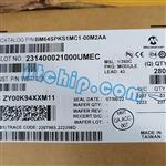 BM64SPKS1MC1-00M2AA--1.jpg Image