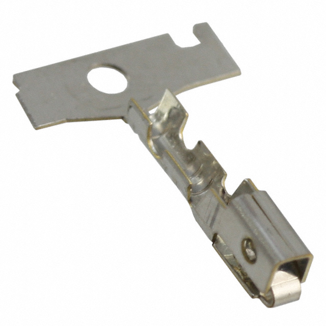 50291900 Image 