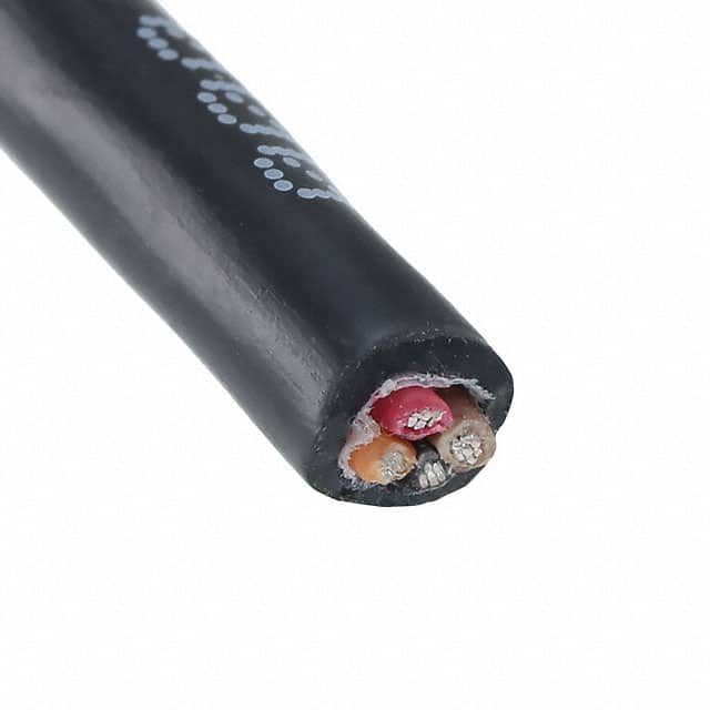 25424 BK005 Image 