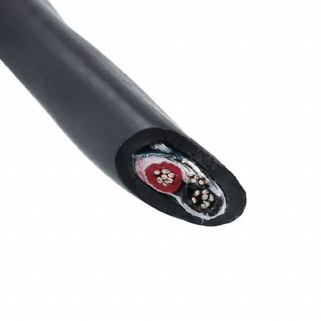 25462 BK005 Image 