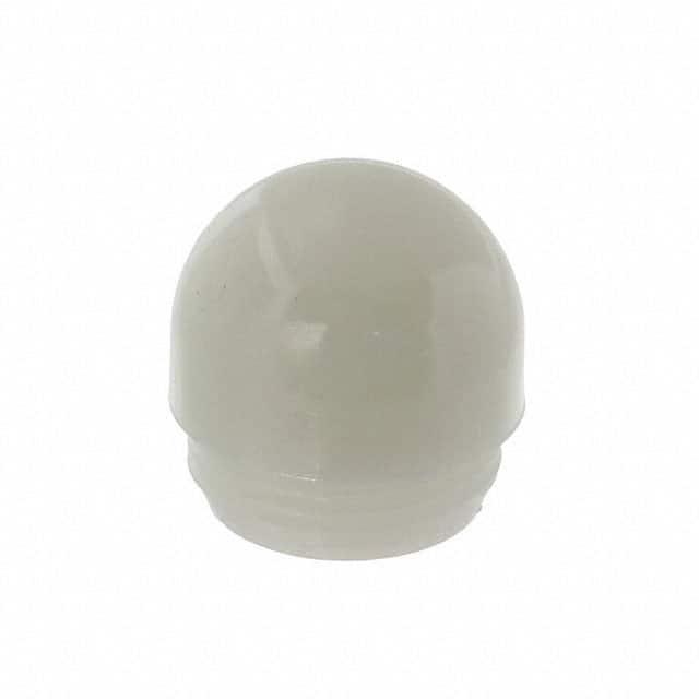 25P-307W Image 
