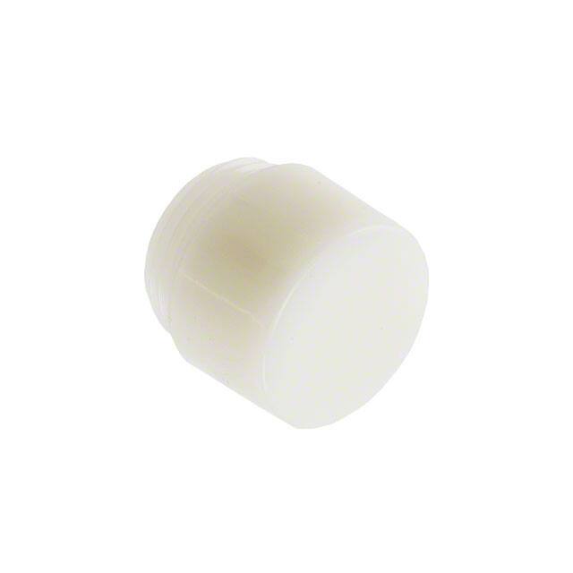 25P-607W Image 