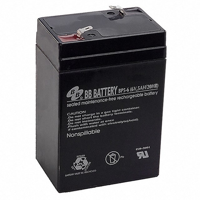 BP5-6T2 Image 