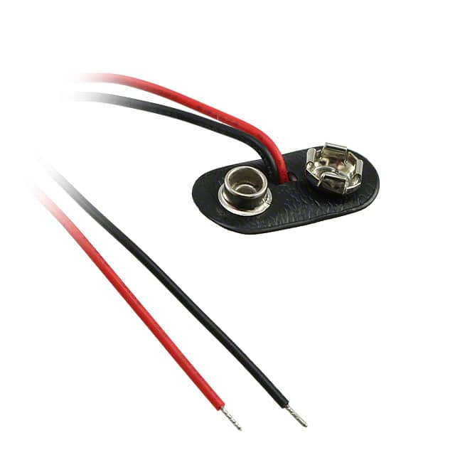 BS12T Image 