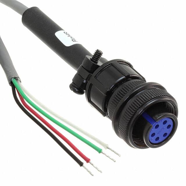 CCARPG25 Image 