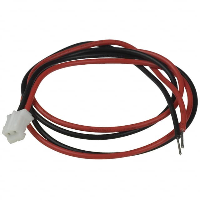 CT2E300 Image 