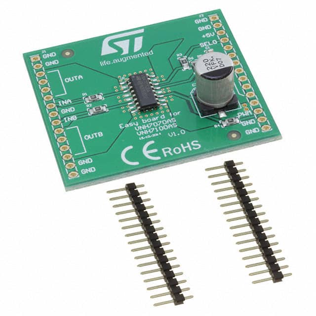 EV-VNH7070BAS Image 
