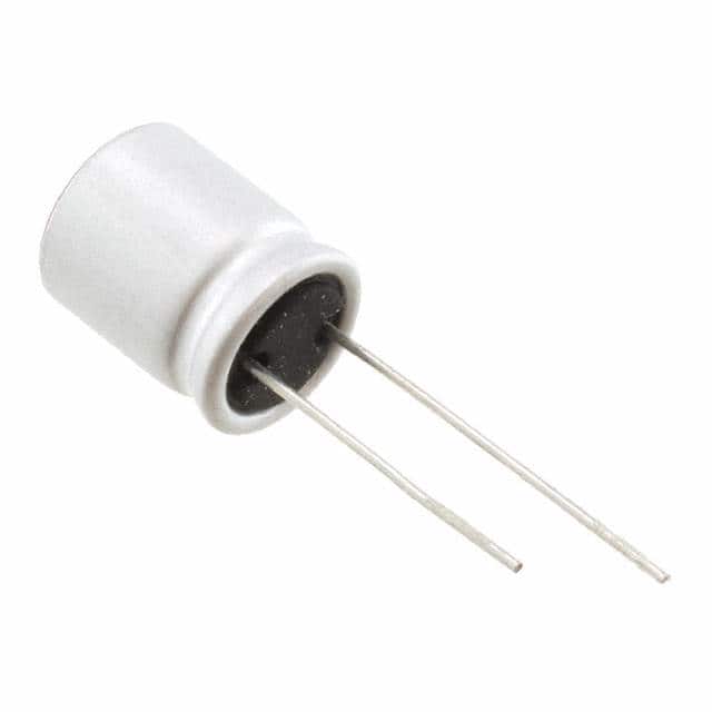 RNS1E101MDN1 Image 