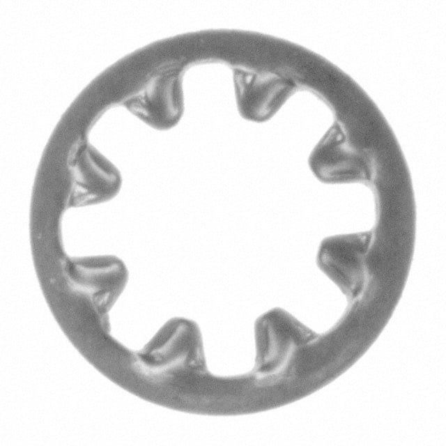 INTLWSS 010 Image 