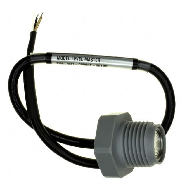LM31-00000F-005PG Image 