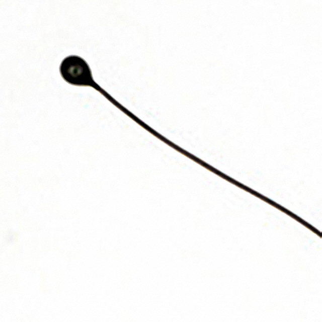 MC65F103C Image 