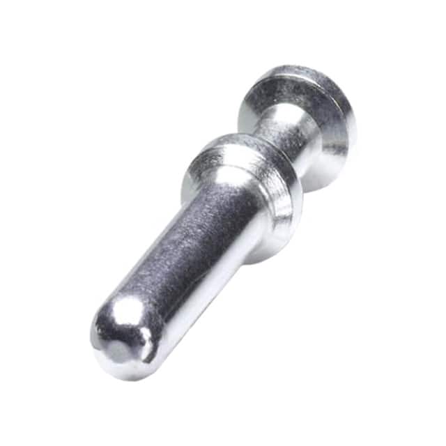 1586198 Image 