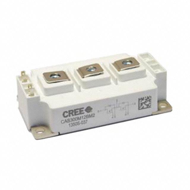 CAS300M12BM2 Image 