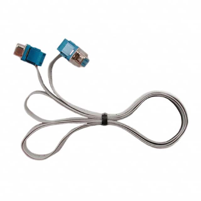 CCS4FT Image 