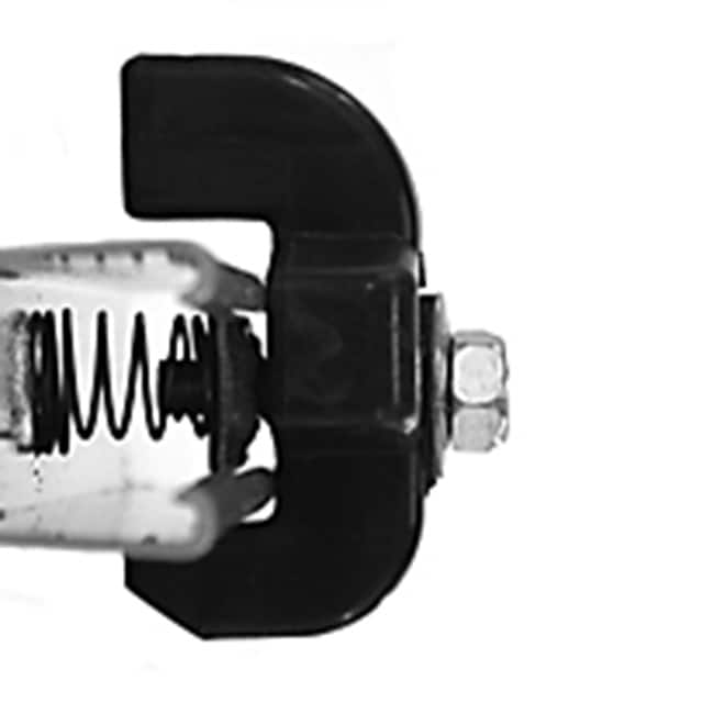 DSG1 Image 