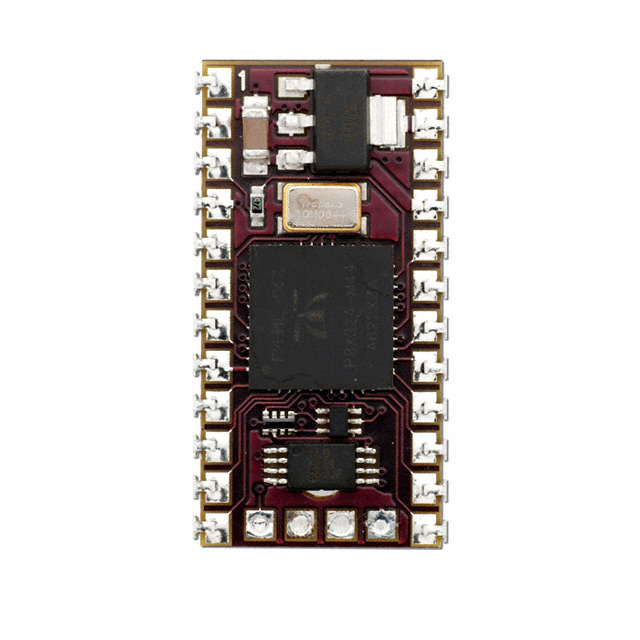 SS1-IC Image 