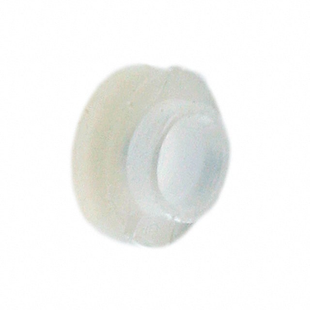 MNI-2-2 Image 