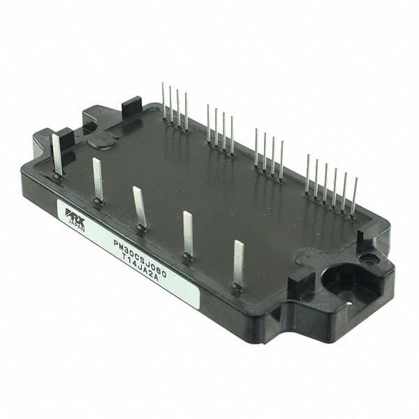 PM30CSJ060 Image 