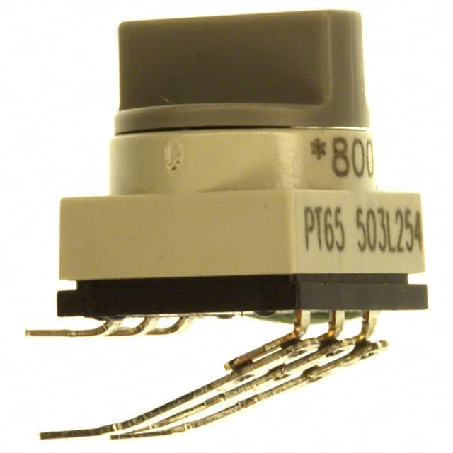 PT65503L254 Image 