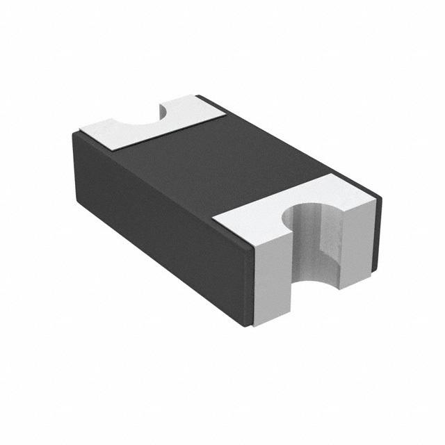 SD1206S040S1R0 Image 