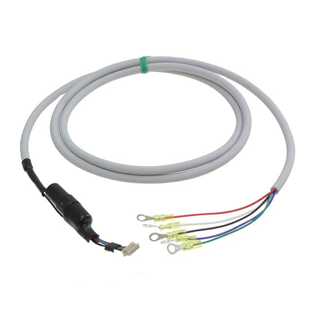 SL-C1000 Image 