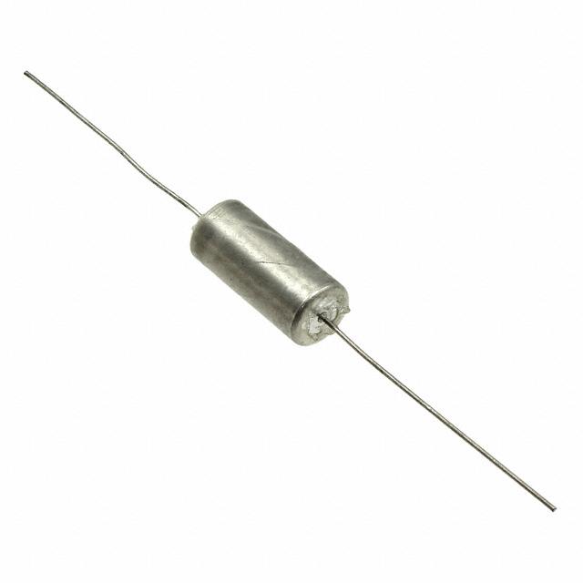 T110D107K020AT Image 
