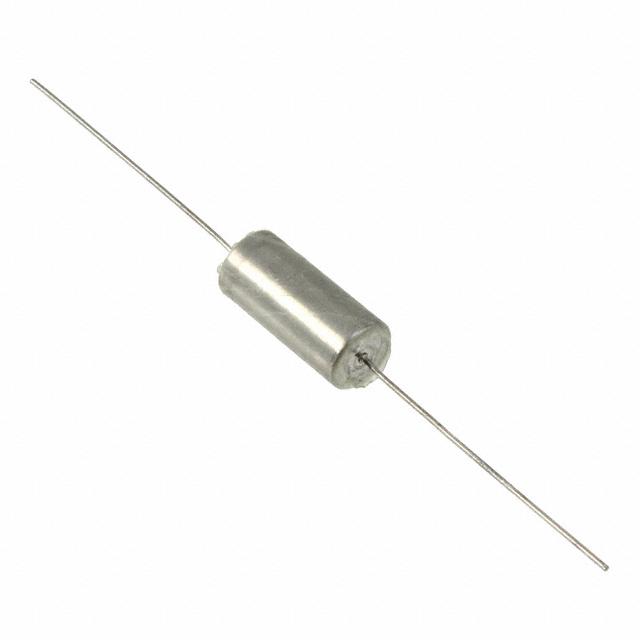 T110D107M020AS Image 